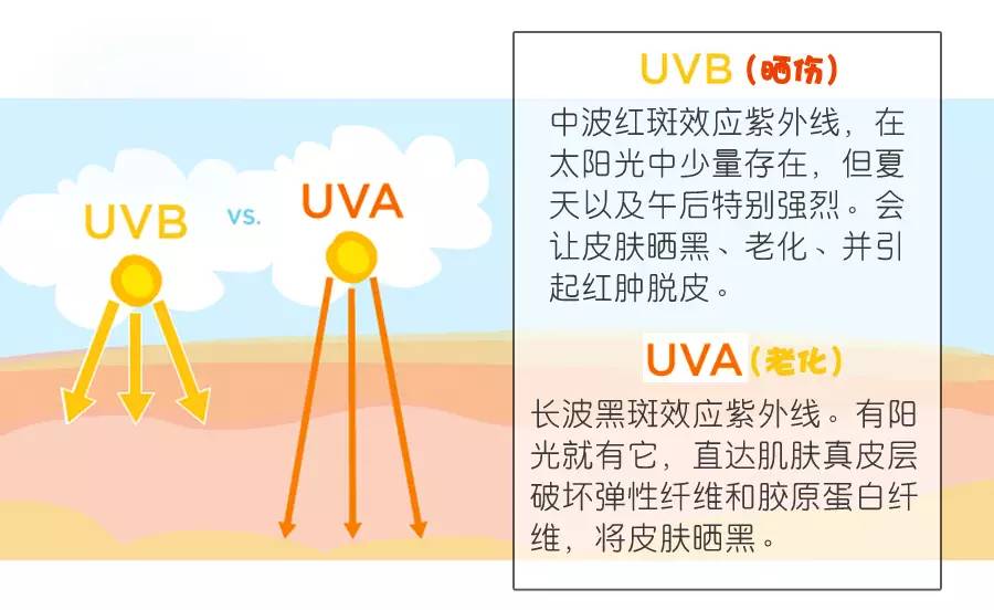 NFC防偽標(biāo)簽化妝品行業(yè)應(yīng)用案例